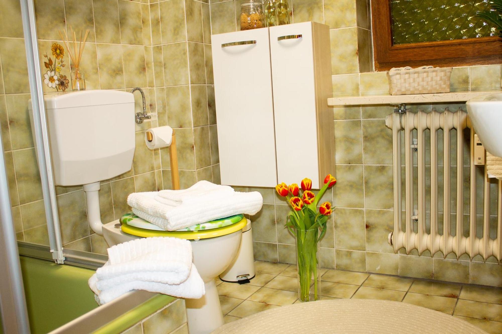 Ferienwohnung In Schoenwald Schwarzwald 外观 照片