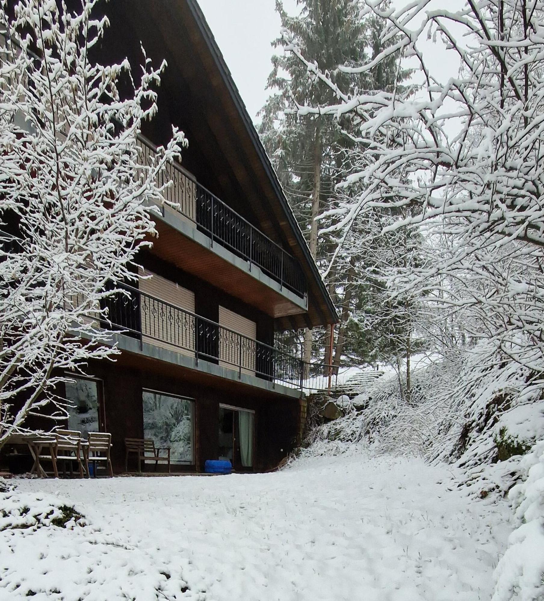 Ferienwohnung In Schoenwald Schwarzwald 外观 照片