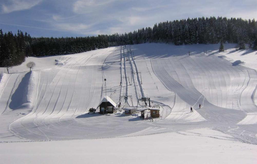 Ferienwohnung In Schoenwald Schwarzwald 外观 照片